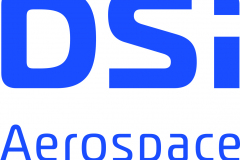 dsi_logo